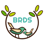 BRDS Logo